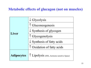 Metabolic effects of glucagon (not on muscles)    Lipolysis  (HSL, hormone sensitive lipase) Adipocytes    Oxidation of fatty acids    Synthesis of fatty acids    Glycogenolysis    Synthesis of glycogen    Gluconeogenesis    Glycolysis Liver 