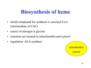 B iosynthesis of heme initial compound for synthesis is succinyl-CoA (intermediate of CAC) source of nitrogen is glycine reactions are located in mitochondria and cytosol regulation: ALA-synthase mitochondria cytosol 