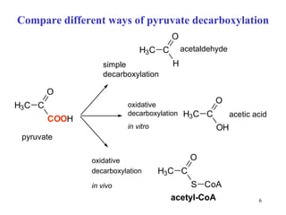 Compare different ways of pyruvate  de c arboxyla tion pyruvate simple decarboxylation acetaldehyde acetic acid oxidative decarboxylation in vitro oxidative decarboxylation in vivo 