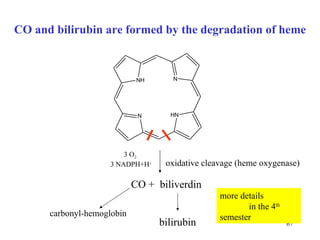 CO and bilirubin are formed by the degradation of heme oxidative cleavage (heme oxygenase) CO +  biliverdin bilirubin carbonyl-hemoglobin 3 O 2   3 NADPH+H + more details  in the  4 th   semest e r 