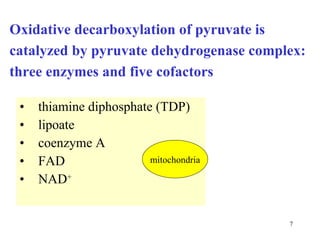 thiamine diphosphate (TDP) lipoate coenzyme A FAD NAD + Oxidative decarboxylation of pyruvate is catalyzed by pyruvate dehydrogenase complex:   three enzymes and five cofactors  mitochondria 