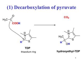(1) Decarboxylation of pyruvate thiazolium ring 