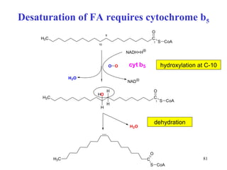 Desaturation of FA requires cytochrome b 5 h ydroxylation at C-10 dehydrat ion 