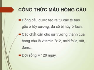Các loại xét nghiệm thường quy