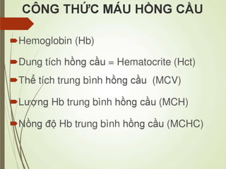 Các loại xét nghiệm thường quy
