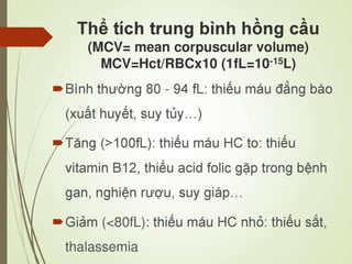 Các loại xét nghiệm thường quy