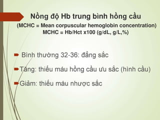 Các loại xét nghiệm thường quy