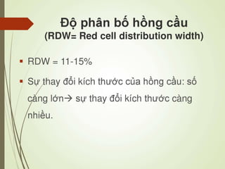Các loại xét nghiệm thường quy