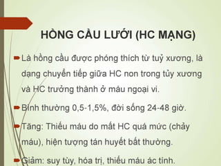 Các loại xét nghiệm thường quy