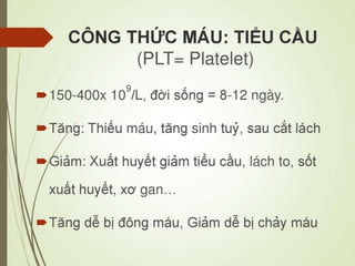 Các loại xét nghiệm thường quy