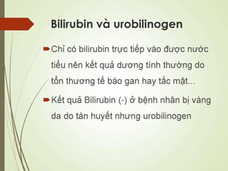 Các loại xét nghiệm thường quy
