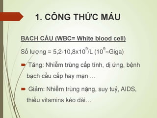 Các loại xét nghiệm thường quy