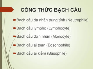 Các loại xét nghiệm thường quy