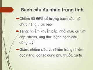 Các loại xét nghiệm thường quy