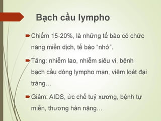 Các loại xét nghiệm thường quy