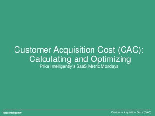 Customer Acquisition Cost (CAC):
Calculating and Optimizing
Price Intelligently’s SaaS Metric Mondays
Customer Acquisition...