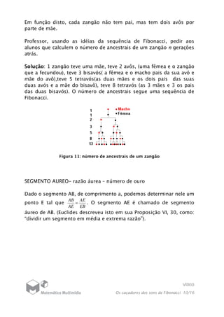 VÍDEO
Os caçadores dos sons de Fibonacci 10/16
Em função disto, cada zangão não tem pai, mas tem dois avôs por
parte de mãe.
Professor, usando as idéias da sequência de Fibonacci, pedir aos
alunos que calculem o número de ancestrais de um zangão n gerações
atrás.
Solução: 1 zangão teve uma mãe, teve 2 avôs, (uma fêmea e o zangão
que a fecundou), teve 3 bisavós( a fêmea e o macho pais da sua avó e
mãe do avô),teve 5 tetravós(as duas mães e os dois pais das suas
duas avós e a mãe do bisavô), teve 8 tetravós (as 3 mães e 3 os pais
das duas bisavós). O número de ancestrais segue uma sequência de
Fibonacci.
Figura 11: número de ancestrais de um zangão
SEGMENTO AUREO- razão áurea – número de ouro
Dado o segmento AB, de comprimento a, podemos determinar nele um
ponto E tal que
EB
AE
AE
AB
= . O segmento AE é chamado de segmento
áureo de AB. (Euclides descreveu isto em sua Proposição VI, 30, como:
“dividir um segmento em média e extrema razão”).
 