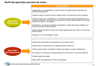 Perfil del Mercado y Competitividad Exportadora de Cacao
43
Perfil del agricultor peruano de cacao
Agricultor
Organizado
Características
Agricultor
No Organizado
Producción destinada principalmente al mercado interno
Agricultores minifundistas sin capacidad para asociarse
Utiliza mayormente variedades criollas que tienen un bajo rendimiento
No realiza un adecuado manejo agronómico del cultivo ni de post-cosecha
Emplea baja tecnología
Bajo poder de negociación frente al acopiador
Organizado en cooperativas u otras formas de organización asociativa de
carácter empresarial
Produce cacao en grano de alta calidad, tanto convencional como orgánico
Vende el cacao a la cooperativa u otro tipo de organización empresarial a la
cual está asociado, la misma que procesa el insumo destinándolo al mercado
externo en grano o derivados
Diversifica sus cultivos utilizando variedades criollas (de buena calidad) con
híbridos (de alta productividad)
Recibe asistencia técnica sobre el manejo agronómico del cultivo y el proceso
post-cosecha
Emplea un nivel tecnológico medio
 