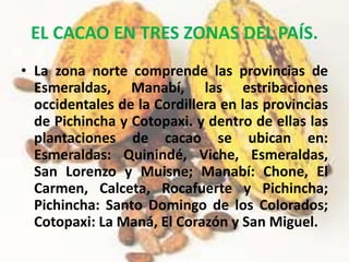EL CACAO EN TRES ZONAS DEL PAÍS. 
• La zona norte comprende las provincias de 
Esmeraldas, Manabí, las estribaciones 
occidentales de la Cordillera en las provincias 
de Pichincha y Cotopaxi. y dentro de ellas las 
plantaciones de cacao se ubican en: 
Esmeraldas: Quinindé, Viche, Esmeraldas, 
San Lorenzo y Muisne; Manabí: Chone, El 
Carmen, Calceta, Rocafuerte y Pichincha; 
Pichincha: Santo Domingo de los Colorados; 
Cotopaxi: La Maná, El Corazón y San Miguel. 
 