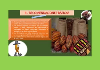 Cacao