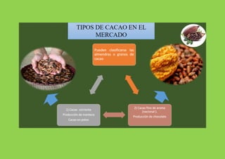 Cacao