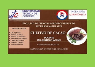 Cacao