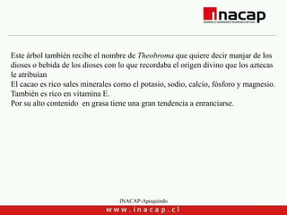 INACAP-Apoquindo
Este árbol también recibe el nombre de Theobroma que quiere decir manjar de los
dioses o bebida de los dioses con lo que recordaba el origen divino que los aztecas
le atribuían
El cacao es rico sales minerales como el potasio, sodio, calcio, fósforo y magnesio.
También es rico en vitamina E.
Por su alto contenido en grasa tiene una gran tendencia a enranciarse.
 