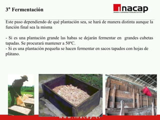 INACAP-Apoquindo
3° Fermentación
Este paso dependiendo de qué plantación sea, se hará de manera distinta aunque la
función final sea la misma
- Si es una plantación grande las habas se dejarán fermentar en grandes cubetas
tapadas. Se procurará mantener a 50ºC.
- Si es una plantación pequeña se hacen fermentar en sacos tapados con hojas de
plátano.
 