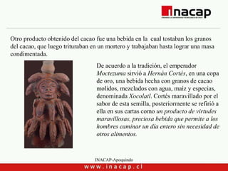 INACAP-Apoquindo
Otro producto obtenido del cacao fue una bebida en la cual tostaban los granos
del cacao, que luego trituraban en un mortero y trabajaban hasta lograr una masa
condimentada.
De acuerdo a la tradición, el emperador
Moctezuma sirvió a Hernán Cortés, en una copa
de oro, una bebida hecha con granos de cacao
molidos, mezclados con agua, maíz y especias,
denominada Xocolatl. Cortés maravillado por el
sabor de esta semilla, posteriormente se refirió a
ella en sus cartas como un producto de virtudes
maravillosas, preciosa bebida que permite a los
hombres caminar un día entero sin necesidad de
otros alimentos.
 
