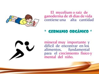 El mycelium o raíz de
ganoderma de 18 días de vida
contiene una alta cantidad
” GERMANIO ORGÁNICO “
mineral muy importante y
difícil de encontrar en los
alimentos, fundamental
para el crecimiento físico y
mental del niño.
 