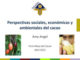 Perspectivas sociales, económicas y
ambientales del cacao
Amy Angel
Feria Maya del Cacao
Abril 2013
 