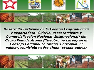 Cacaochien cacaoven sistema agroforestal de cacao   cadena 15022017