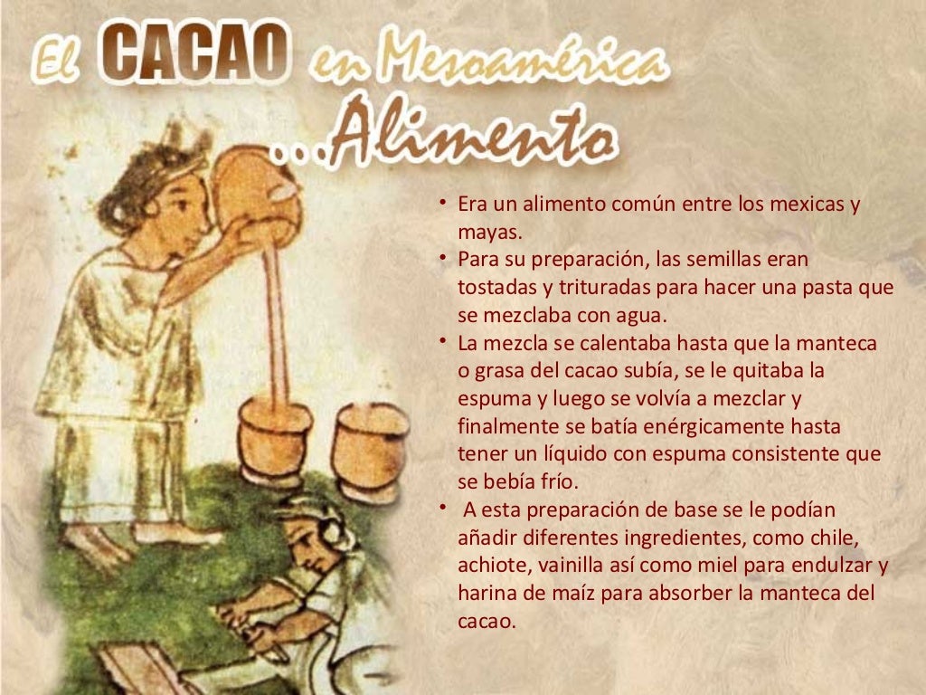 Cacao en mesoamerica