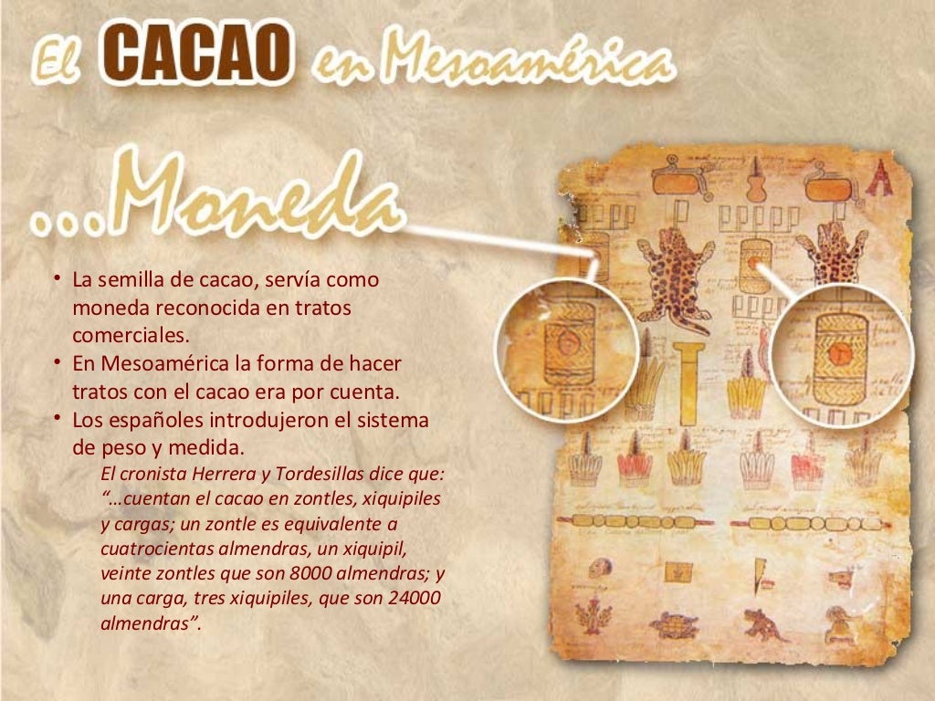 Cacao en mesoamerica