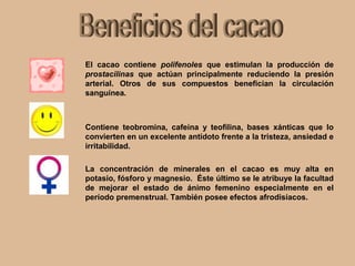 El cacao contiene polifenoles que estimulan la producción de
prostacilinas que actúan principalmente reduciendo la presión
arterial. Otros de sus compuestos benefician la circulación
sanguínea.
Contiene teobromina, cafeína y teofilina, bases xánticas que lo
convierten en un excelente antídoto frente a la tristeza, ansiedad e
irritabilidad.
La concentración de minerales en el cacao es muy alta en
potasio, fósforo y magnesio. Éste último se le atribuye la facultad
de mejorar el estado de ánimo femenino especialmente en el
período premenstrual. También posee efectos afrodisíacos.
 
