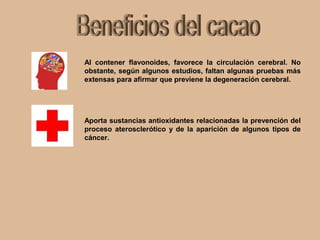 Al contener flavonoides, favorece la circulación cerebral. No
obstante, según algunos estudios, faltan algunas pruebas más
extensas para afirmar que previene la degeneración cerebral.
Aporta sustancias antioxidantes relacionadas la prevención del
proceso aterosclerótico y de la aparición de algunos tipos de
cáncer.
 