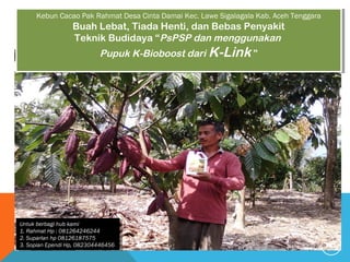 1 
Kebun Cacao Pak Rahmat Desa Cinta Damai Kec. Lawe Sigalagala Kab. Aceh Tenggara 
Kebun Cacao Pak Rahmat Desa Cinta Damai Kec. Lawe Sigalagala Kab. Aceh Tenggara 
Buah Lebat, Tiada Henti, dan Bebas Penyakit 
Teknik Budidaya “PsPSP dan menggunakan 
Buah Lebat, Tiada Henti, dan Bebas Penyakit 
Teknik Budidaya “PsPSP dan menggunakan 
Pupuk K-Bioboost dari K-Link ” 
Pupuk K-Bioboost dari K-Link ” 
Untuk berbagi hub kami 
1. Rahmat Hp : 081264246244 
2. Suparlan hp 08126187575 
3. Sopian Ependi Hp, 082304446456 
Untuk berbagi hub kami 
1. Rahmat Hp : 081264246244 
2. Suparlan hp 08126187575 
3. Sopian Ependi Hp, 082304446456 
 