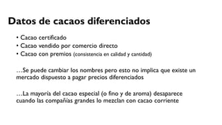 Cacao para la Paz: Un Análisis de la Cadena Productiva de Cacao en Colombia