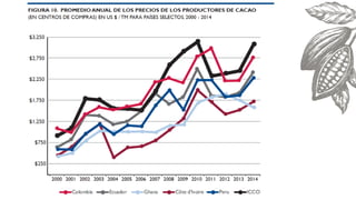 Cacao para la Paz: Un Análisis de la Cadena Productiva de Cacao en Colombia