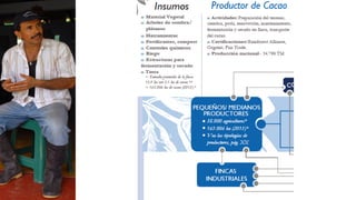 Cacao para la Paz: Un Análisis de la Cadena Productiva de Cacao en Colombia