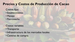 Cacao para la Paz: Un Análisis de la Cadena Productiva de Cacao en Colombia