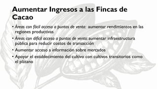 Cacao para la Paz: Un Análisis de la Cadena Productiva de Cacao en Colombia