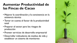 Cacao para la Paz: Un Análisis de la Cadena Productiva de Cacao en Colombia