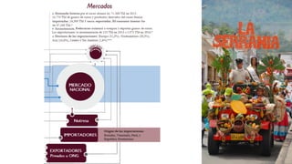 Cacao para la Paz: Un Análisis de la Cadena Productiva de Cacao en Colombia