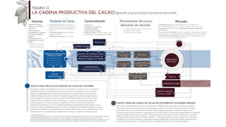 Cacao para la Paz: Un Análisis de la Cadena Productiva de Cacao en Colombia