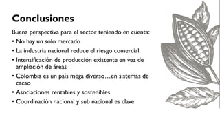 Cacao para la Paz: Un Análisis de la Cadena Productiva de Cacao en Colombia