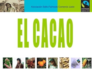 EL CACAO Asociación Sello-Fairtrade Comercio Justo 