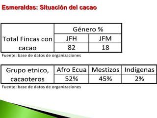 Esmeraldas: Situación del cacao 