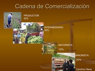 Cadena de Comercialización Carolina Oleas PRODUCTOR  25% INTERMEDIARIO 35% MINORISTA 3O% MAYORISTA  1O% 