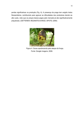16 
perdas significativas na produção (Fig. 4). A presença da praga tem exigido tratos 
fitossanitários, contribuindo para agravar as dificuldades dos produtores devido ao 
alto custo, visto que os preços baixos pagos pelo mercado já são significativamente 
prejudiciais. (OETTERER; REGINATO-D’ARCE; SPOTO; 2006) 
Figura 4. Cacau apodrecendo pelo ataque do fungo. 
Fonte: Google imagens, 2008. 
 